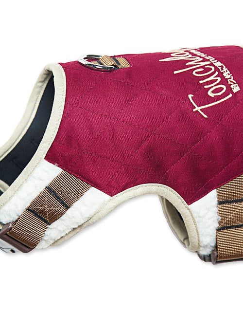 Load image into Gallery viewer, Touchdog ® 'Tough-Boutique' 2-in-1 Adjustable Fashion Dog Harness and Leash
