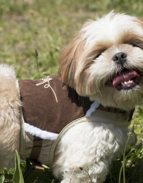 Load image into Gallery viewer, Touchdog ® 'Tough-Boutique' 2-in-1 Adjustable Fashion Dog Harness and Leash
