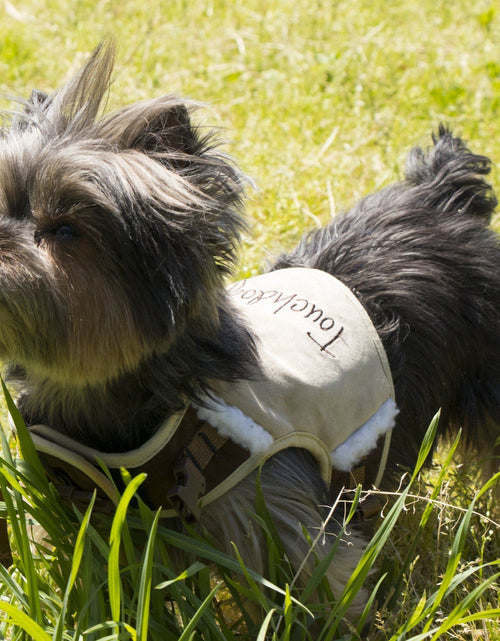 Load image into Gallery viewer, Touchdog ® 'Tough-Boutique' 2-in-1 Adjustable Fashion Dog Harness and Leash

