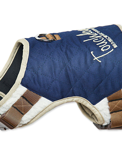 Load image into Gallery viewer, Touchdog ® 'Tough-Boutique' 2-in-1 Adjustable Fashion Dog Harness and Leash
