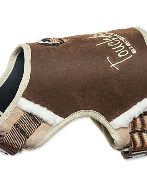Load image into Gallery viewer, Touchdog ® 'Tough-Boutique' 2-in-1 Adjustable Fashion Dog Harness and Leash
