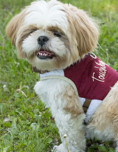 Load image into Gallery viewer, Touchdog ® 'Tough-Boutique' 2-in-1 Adjustable Fashion Dog Harness and Leash
