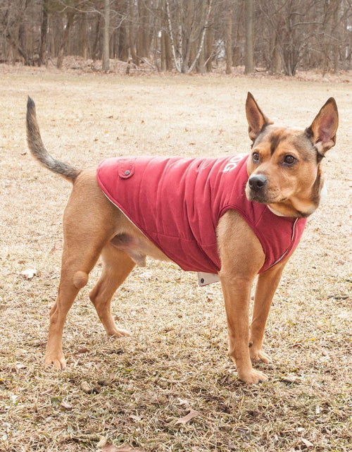 Load image into Gallery viewer, Touchdog ® Waggin Swag Ultra-Plush Insulated and Reversible Dog Coat
