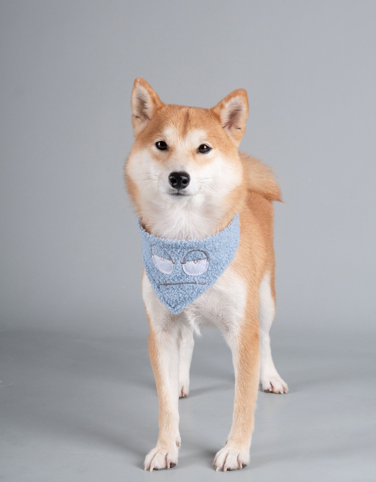 Touchdog ®'Dizzy-Eyed Cyclops' Cotton Hook-and-Loop Dog Bandana and Scarf