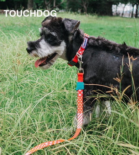 Touchdog ®'Trendzy' 2-in-1 Matching Fashion Designer Printed Dog Leash and Collar