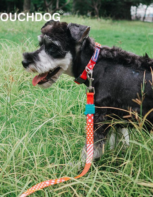 Load image into Gallery viewer, Touchdog ®'Trendzy' 2-in-1 Matching Fashion Designer Printed Dog Leash and Collar
