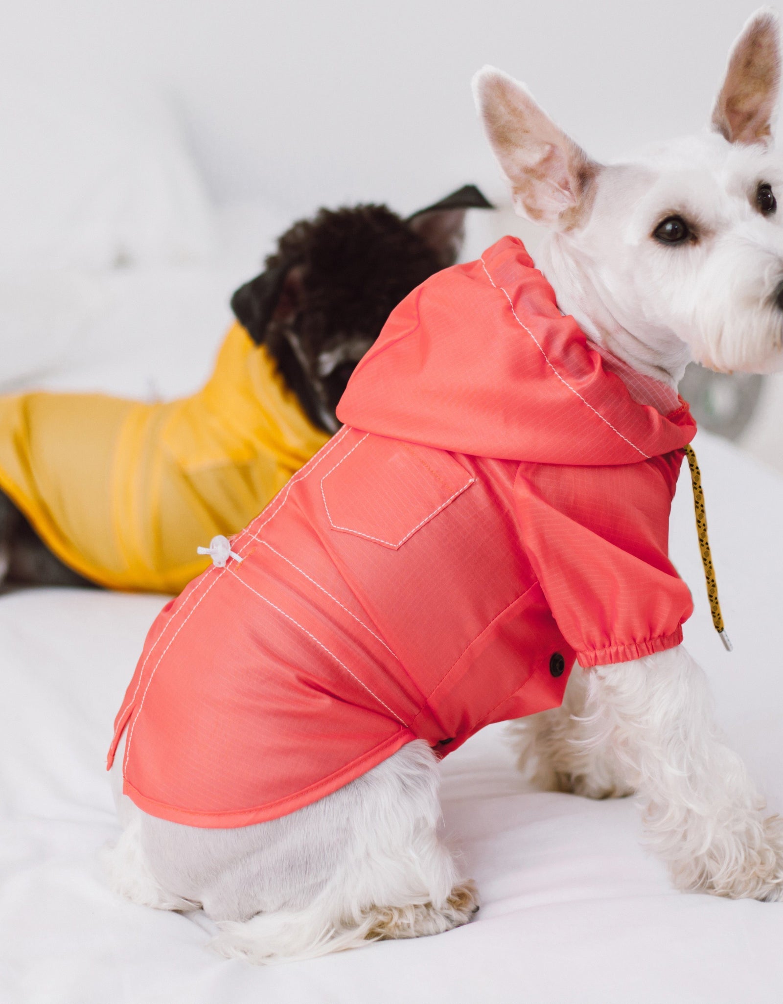 Touchdog Split-Vent Designer Waterproof Dog Raincoat