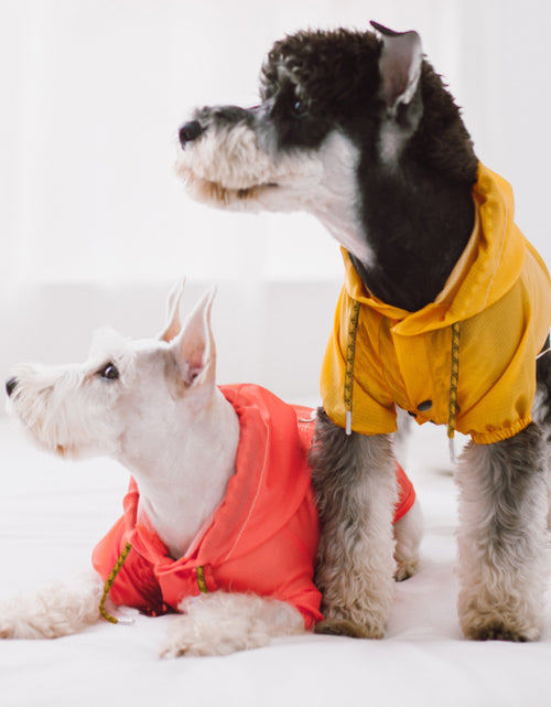Load image into Gallery viewer, Touchdog Split-Vent Designer Waterproof Dog Raincoat
