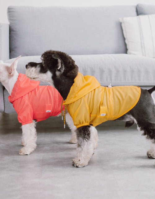 Load image into Gallery viewer, Touchdog Split-Vent Designer Waterproof Dog Raincoat
