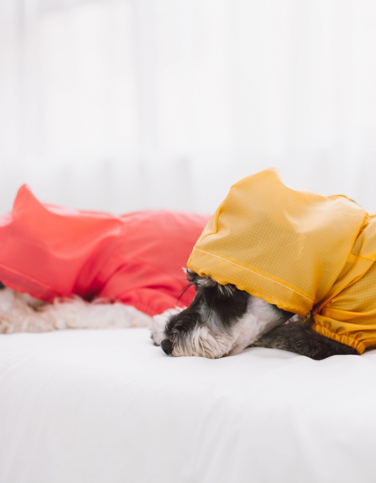 Touchdog Split-Vent Designer Waterproof Dog Raincoat