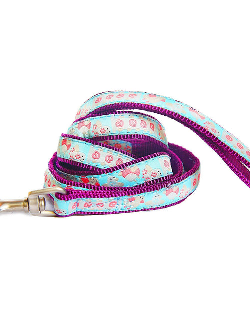 Load image into Gallery viewer, Touchdog Tough Stitched Durable Embroidered Leash and Harness - Blue
