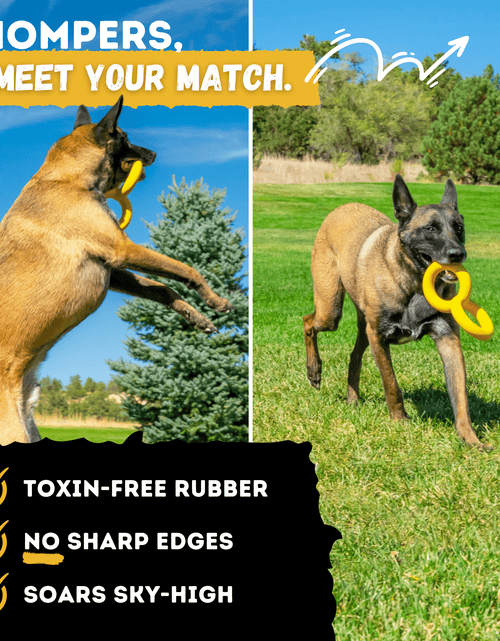 Load image into Gallery viewer, Tug Chain™
