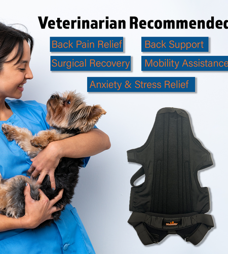 NeoAlly Dog Back Brace for Dogs with Inserts for Extra Support