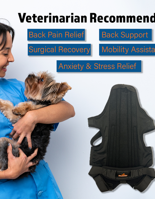Load image into Gallery viewer, NeoAlly Dog Back Brace for Dogs with Inserts for Extra Support
