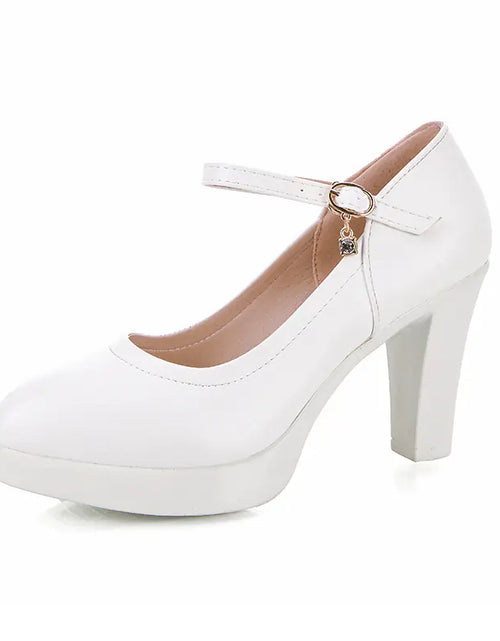 Load image into Gallery viewer, Pointed Toe Chunky Heels for Women
