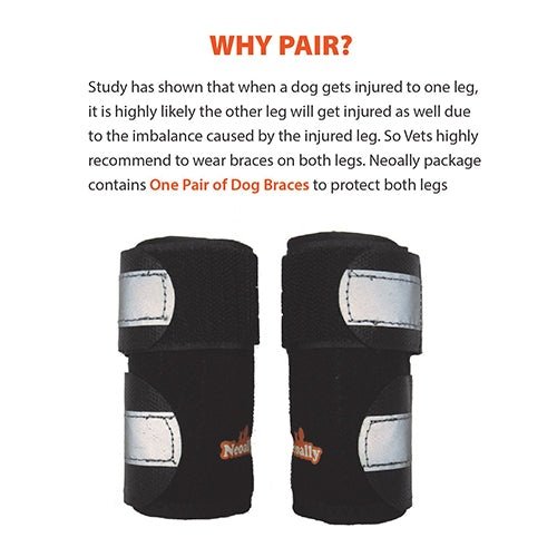 Load image into Gallery viewer, NeoAlly Dog Front Leg Brace with Reflective Straps - Metal Spring Inserts for Carpal Support (Pair)
