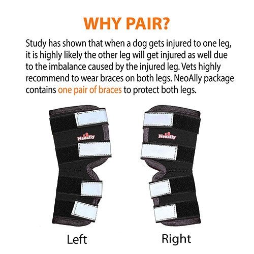 Load image into Gallery viewer, NeoAlly Dog Rear Leg Hock Brace with Safety Reflective Straps for Large Dogs [Long Version]
