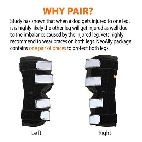 Load image into Gallery viewer, NeoAlly Dog Rear Leg Hock Brace with Metal Spring Strips for Large Dogs [Long Version] (Pair)
