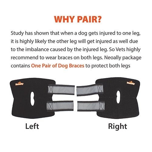Load image into Gallery viewer, NeoAlly Dog Rear Leg Hock Brace with Safety Reflective Straps for Small Dogs [Short Version]
