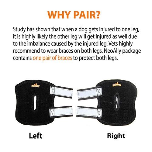 Load image into Gallery viewer, NeoAlly Rear Leg Hock Brace - Metal Spring Strips for Small Dogs [Short Version] (Pair)
