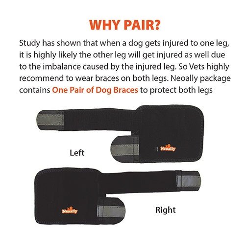 Load image into Gallery viewer, NeoAlly Dog Front Leg Braces: Enhance Safety with Reflective Straps (Pair)
